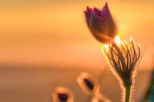 广东广州豹队录像 中乙预赛阶段第1轮 对战vs湖南湘涛队回放 2024年03月23日 16:00比赛视频完整直播回看