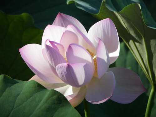 波兰队录像 欧洲杯预选赛附加赛A组 对战vs爱沙尼亚队回放 2024年03月22日 03:45比赛视频完整直播回看