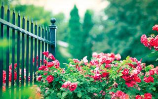 希腊队录像 欧洲杯预选赛附加赛C组 对战vs哈萨克斯坦队回放 2024年03月22日 03:45比赛视频完整直播回看