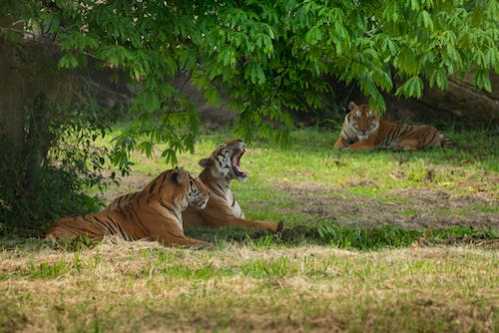 76人队录像 NBA常规赛 对战vs湖人队回放 2024年03月23日 10:30比赛视频完整直播回看