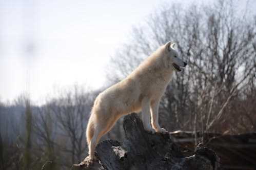 公牛比赛 2022年02月14日 09:00 NBA常规赛直播录像 对决魔术视频