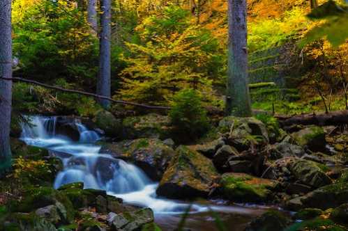 黄蜂队录像 NBA常规赛 对战vs老鹰队回放 2024年03月24日 07:30比赛视频完整直播回看