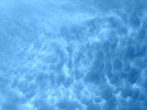 南卡罗来纳州立大学比赛 2022年02月14日 08:30 NCAA直播录像 对决摩根州立大学视频