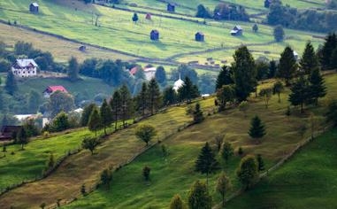 阿拉巴马州立女篮比赛 2022年02月14日 07:30 WNCAA直播录像 对决密西西比河谷州女篮视频